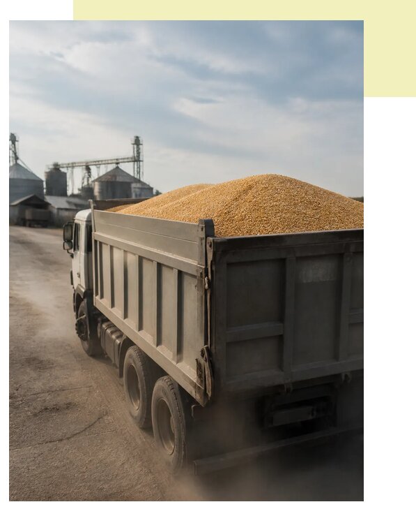 Перевозка сельхозпродукции навалом в Курганинск по цене от 3120 р. | Агросервис-Кгн